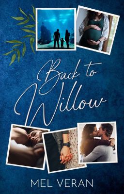 Back to Willow - [ON GOING]