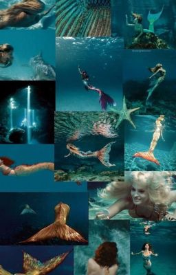 Mako Mermaids: Your H2O Adventure