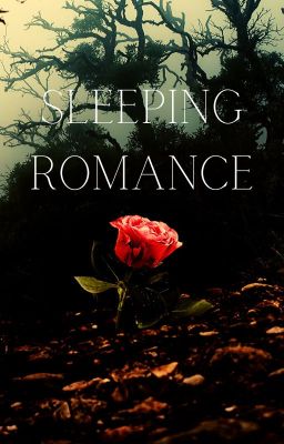 Sleeping Romance (GxG)